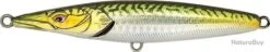ASTURIE 130 - MACKEREL