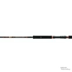 Canne Exo Hearty Rise Gyoluck 1+1 2m37 377g Max 280g