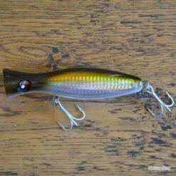 Volkien Soul Karma Pop 120 02